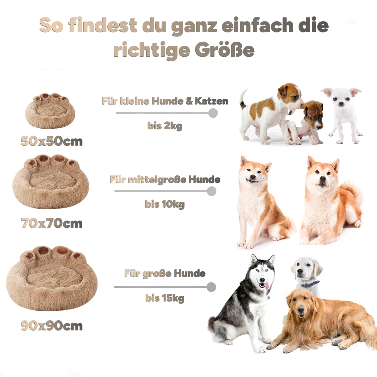 PfotenTraum - Für glückliche, kuschelige Nächte