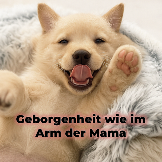 🐾FellTraum🐾 - Wo Liebe und Wärme sich treffen