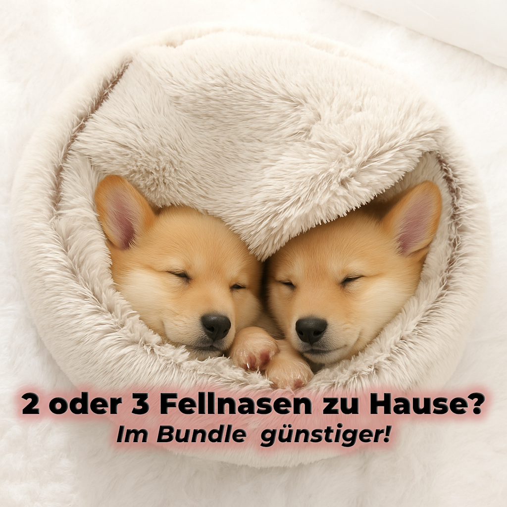 🐾FellTraum🐾 - Wo Liebe und Wärme sich treffen